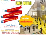 Du Học Mỹ Tại California State University, Long Beach (CSULB) – Trường Đại Học Hàng Đầu Thuộc Hệ Thống CSU