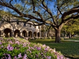 TRƯỜNG ĐẠI HỌC BANG LOUISIANA
