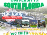 DU HỌC MỸ TẠI UNIVERSITY OF SOUTH FLORIDA (USF) – HỌC BỔNG SIÊU KHỦNG, HỌC PHÍ CẠNH TRANH!